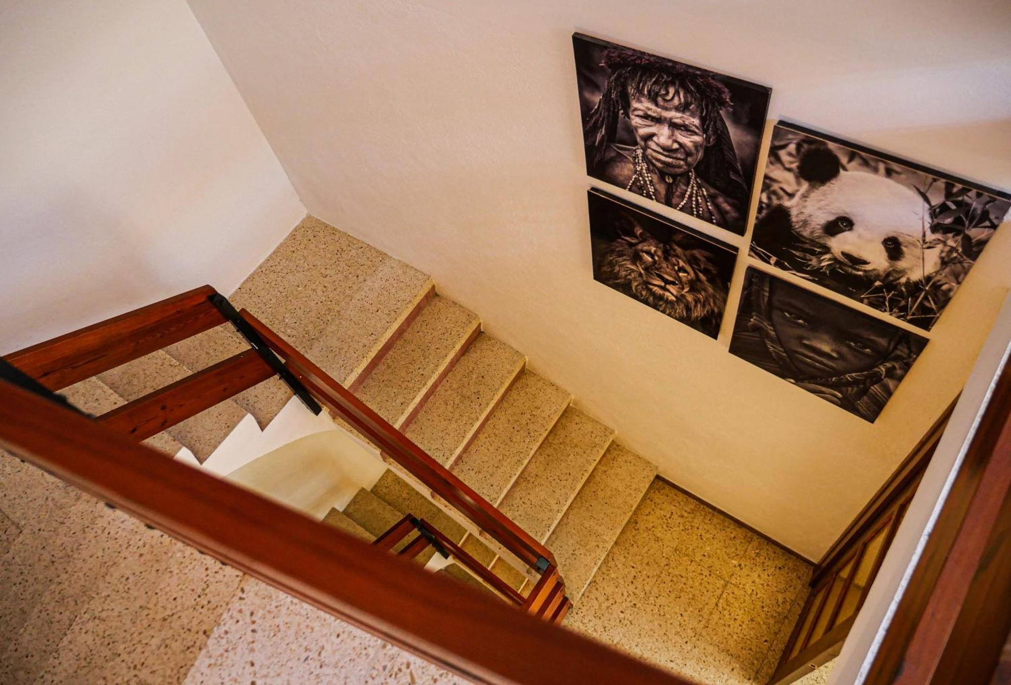 L'Amagatall De Talarn, Casa Per A Compartir Exteriör bild